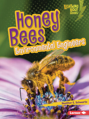 cover image of Honey Bees